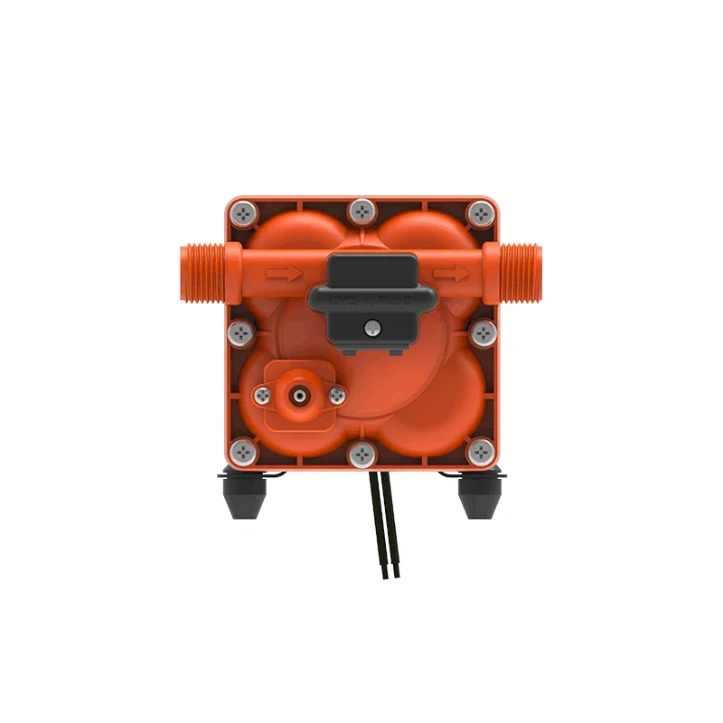 SEAFLO 12V Borstelloze Motor C - Solar Water Pump recensie en prijs